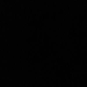 Listing for Roseptl364